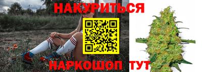 дмт Гусев