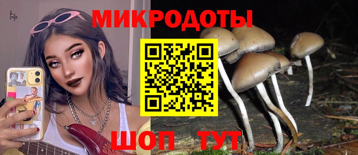 Псилоцибиновые грибы Psilocybine cubensis Бирск
